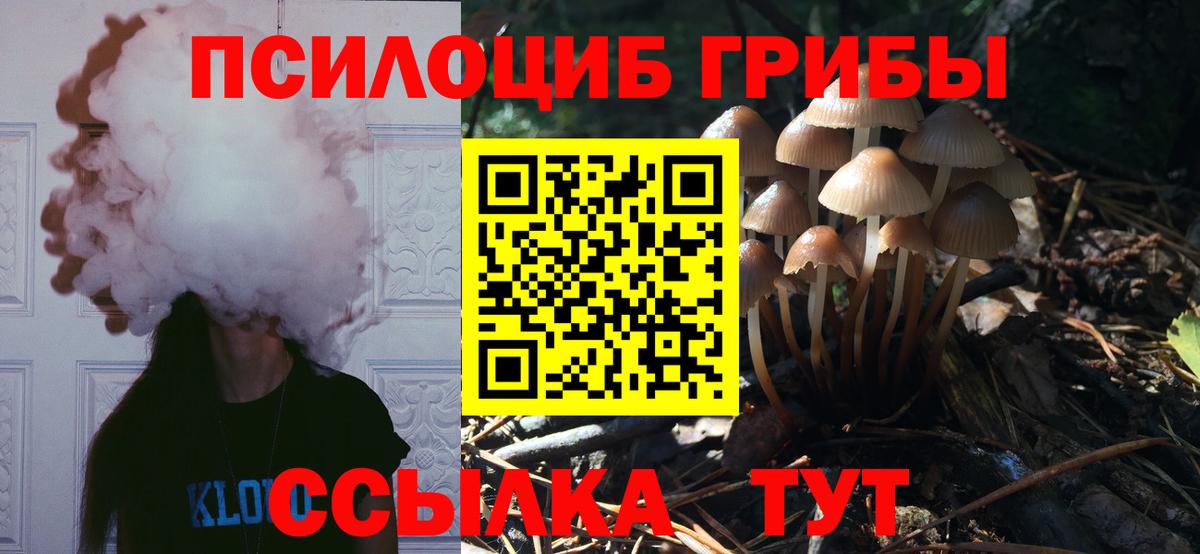 Вольск  Галлюциногенные грибы мухоморы  Вход с VPN 
